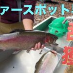 【乱獲】優良管理釣り場で一冬分の食料確保してみた