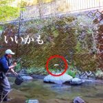 【渓流釣り】ウキ釣りを試してみるとスゴかった【餌釣り】