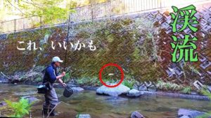 【渓流釣り】ウキ釣りを試してみるとスゴかった【餌釣り】