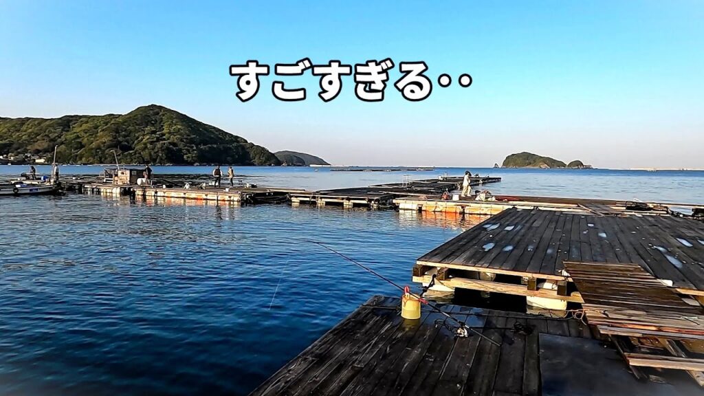 大物がすごすぎる！！由良海釣り公園とは・・？