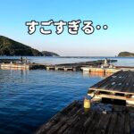 大物がすごすぎる！！由良海釣り公園とは・・？
