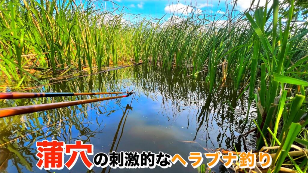 世界よ、これが印旛沼のヘラブナ釣りだ。