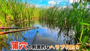 世界よ、これが印旛沼のヘラブナ釣りだ。