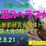 高子沼のへらぶな釣り