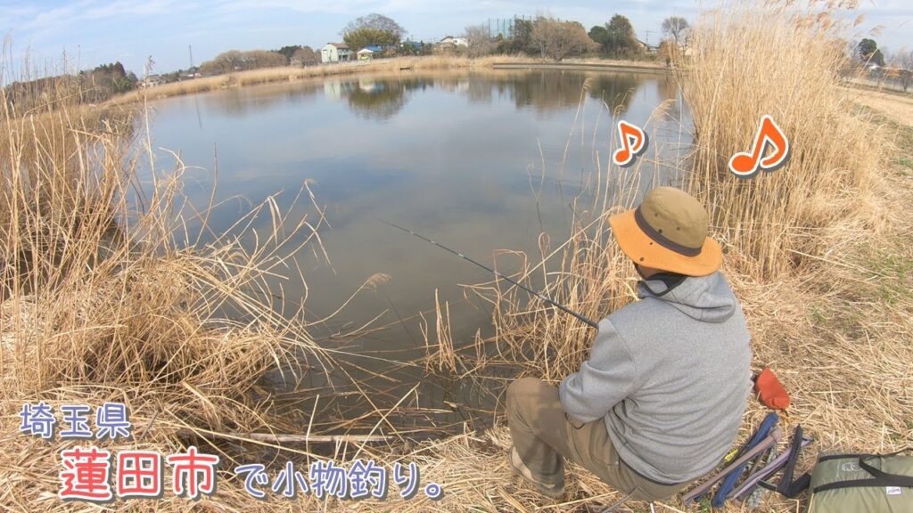 長閑にのんびりできる黒浜沼～♪  埼玉県 蓮田市で小物釣り。