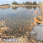 長閑にのんびりできる黒浜沼～♪  埼玉県 蓮田市で小物釣り。