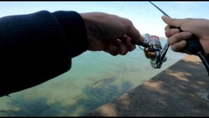 ［浜名湖］群れからはぐれた！？釣り上げてみる