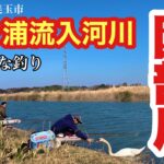 霞ヶ浦流入河川で狙うへらぶな釣り 園部川で野釣り