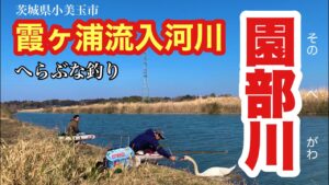 霞ヶ浦流入河川で狙うへらぶな釣り 園部川で野釣り