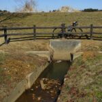 手賀沼ホソのタナゴ釣り【淡水の小物釣り】