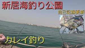 【カレイ釣り】浜名湖で記録更新!渋い中、大物カレイを釣り上げる!
