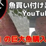 はじめまして伊藤です【管理釣り場】【エリアトラウト】