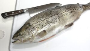 管理釣り場で採れた魚がヤバい