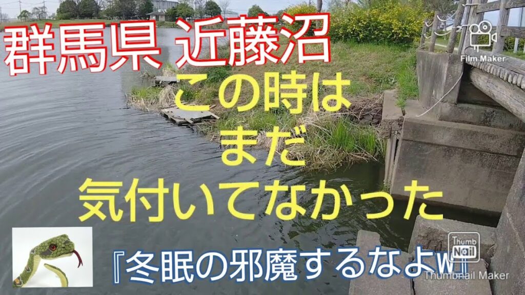 【近藤沼】【バス釣り】危険な生物に出会ってしまったお話