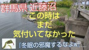 【近藤沼】【バス釣り】危険な生物に出会ってしまったお話