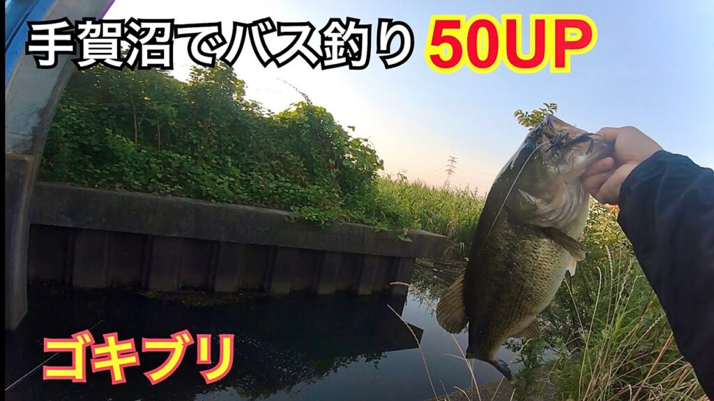 (バス釣り)スモラバに最強なトレーラー(手賀沼)