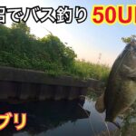 (バス釣り)スモラバに最強なトレーラー(手賀沼)