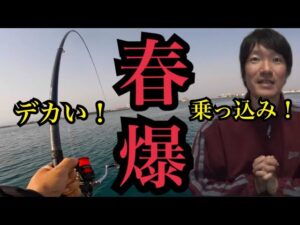 春の浜名湖へ釣りに行ったらとんでもない事に…