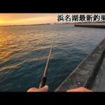 【浜名湖釣り】🎣秋のハイシーズン浜名湖も良き釣果情報が出てます🐟