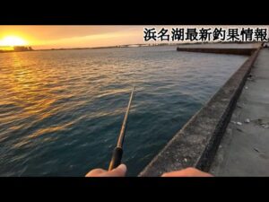 【浜名湖釣り】🎣秋のハイシーズン浜名湖も良き釣果情報が出てます🐟