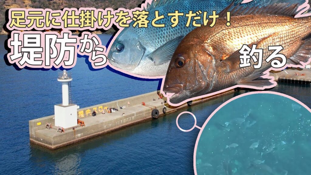 足元に仕掛けを落とすだけで、メジナとマダイが釣れる！！～堤防釣り編～【ウキフカセ】