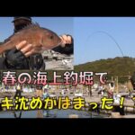 早春の渋い時期の海上釣堀でウキ沈め釣法をするとどうなるか！？