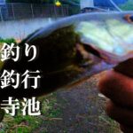 【宝泉寺池、バス釣り、ウキ釣り】【利根川＆荒川水系、バス釣り、コイ釣り、雷魚釣り、ナマズ釣り、クチボソ釣り、餌釣り、フィシング、埼玉釣り、関東釣り、久喜市鷲宮エリア、夕方釣行】