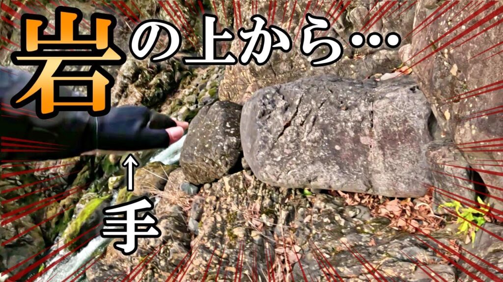【衝撃】奥多摩で渓流釣りしてたら釣りどころじゃなくなった。