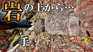 【衝撃】奥多摩で渓流釣りしてたら釣りどころじゃなくなった。