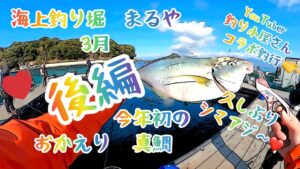 海上釣り堀まるや３月　後編　釣り小屋さんコラボ釣行　今年初の真鯛
