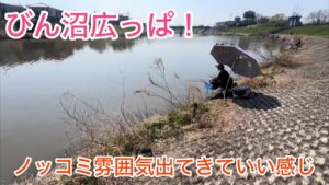 びん沼広っぱへらぶな釣り。広っぱも釣れておる！ノッコミ雰囲気出てきたなぁ〜