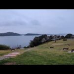 地元浜名湖桜と景色の良いスポットをご紹介🌸【浜名湖釣り場偵察】🐟️