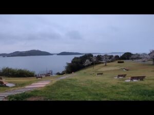地元浜名湖桜と景色の良いスポットをご紹介🌸【浜名湖釣り場偵察】🐟️