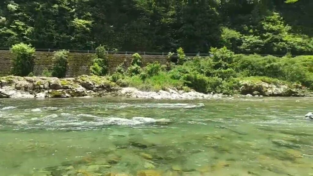 【岐阜県 釣りキャンプ】渓流アマゴ釣りのフィールド・すぎのこキャンプ場バンガロー村🛖⛺️の前を流れる板取川