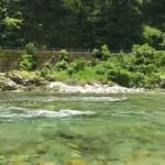 【岐阜県 釣りキャンプ】渓流アマゴ釣りのフィールド・すぎのこキャンプ場バンガロー村🛖⛺️の前を流れる板取川
