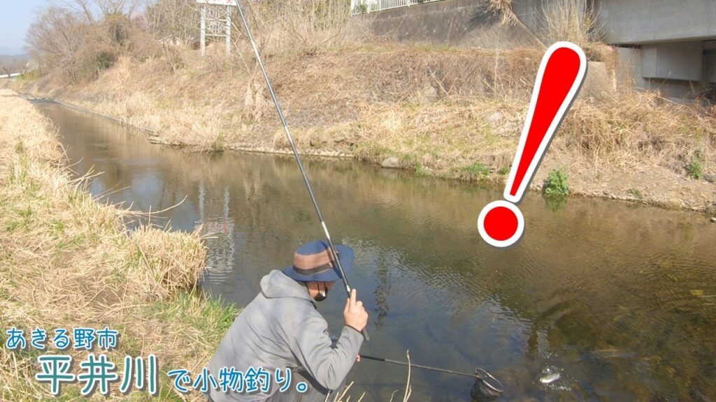 これがあるから平井川は面白い！！  あきる野市 平井川で小物釣り。