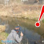 これがあるから平井川は面白い！！  あきる野市 平井川で小物釣り。