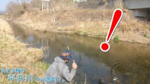 これがあるから平井川は面白い！！  あきる野市 平井川で小物釣り。