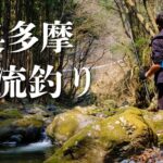 【渓流釣り】放流からしばらく経った大丹波川でビッグフィッシュ！？