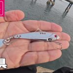 【ダイソー新ルアー】めっちゃくちゃ釣れるルアーが新発売です！