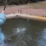 子供が喜ぶ‼︎　管理釣り場