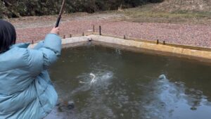 子供が喜ぶ‼︎ 管理釣り場