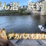 びん沼ボンギでへらぶな底釣り！底釣りシーズンになってきましたなぁ〜立派なバスも釣れました！