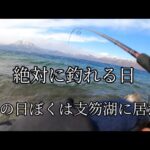 疑惑の釣果!?笑 初めてのシコブラ【北海道 釣り】