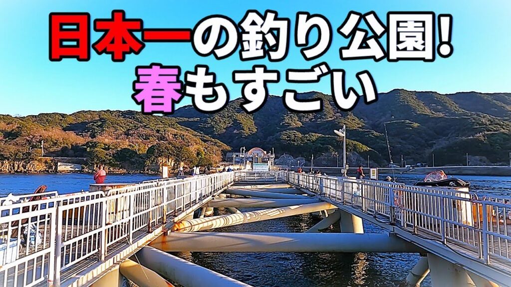 足もとに信じられない魚や大物が！日本最強の釣り公園がすごい！！