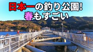 足もとに信じられない魚や大物が！日本最強の釣り公園がすごい！！