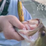 【高滝湖】早春のバス釣り。春はもうすぐそこ？