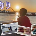 【海釣り】サビキ釣りで釣った魚をさばいて食べるぞー!