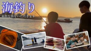 【海釣り】サビキ釣りで釣った魚をさばいて食べるぞー!