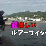 【ルアー入門】ダイソーで釣具全部揃えてお手軽ルアーフィッシング